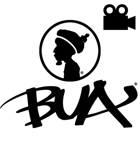 Video Critique